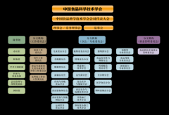 发布《国度全谷物步履打算（2024—2035年